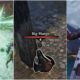 10-Mistakes-Everyone-Makes-In-Their-First-Playthrough-Of-Divinity-Original-Sin-2-featured-image
