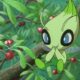 Celebi2