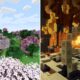 Minecraft-Best-Biome-Mods-1