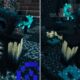Minecraft-Warden-Guide-1