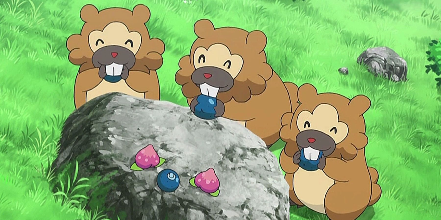 bidoof-4335504