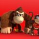 donkey-kong