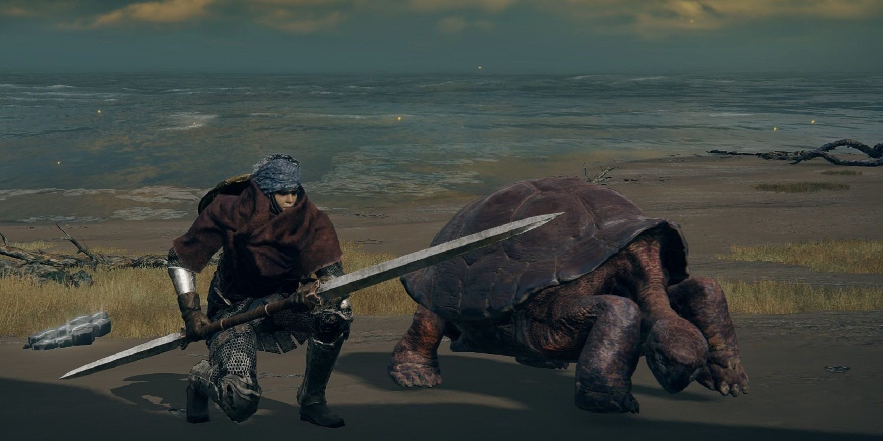 elden-ring-turtle-feature-4669882