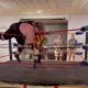 fantasy-football-wrestling-battle-royale