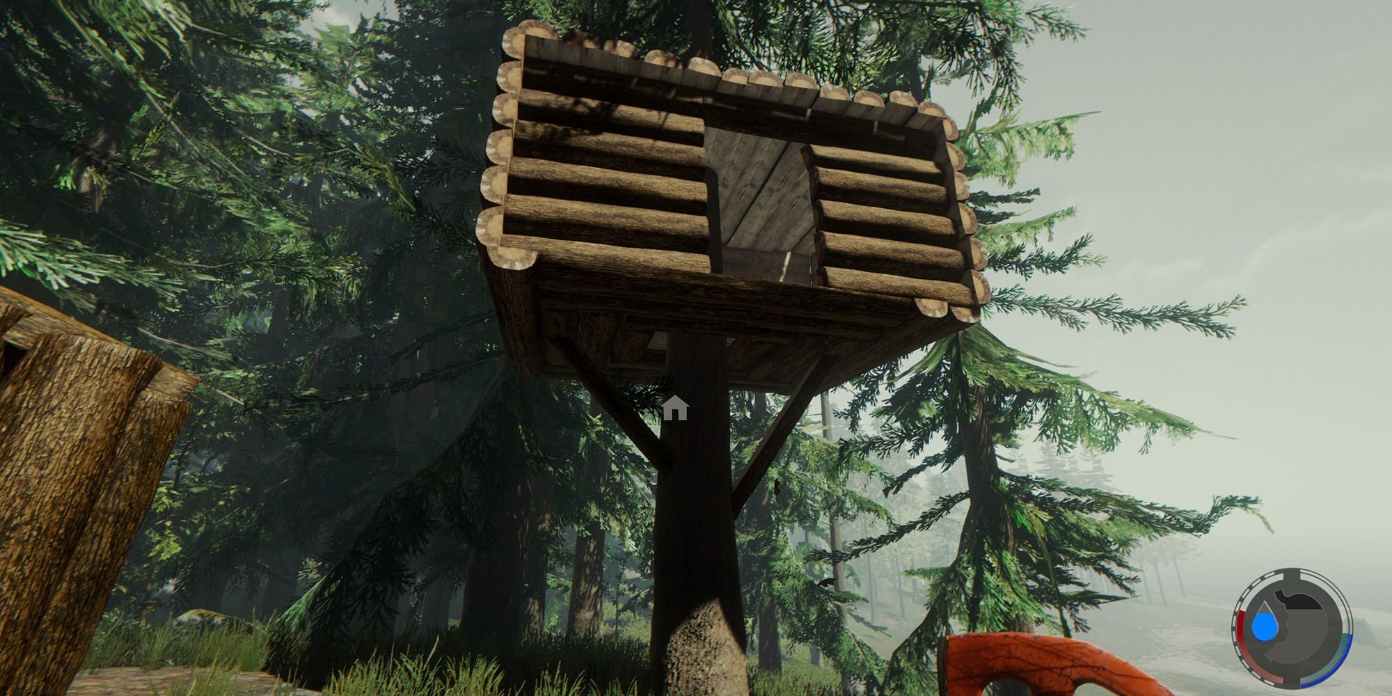 forest-4-9046517