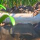 grounded-exposed-pipe