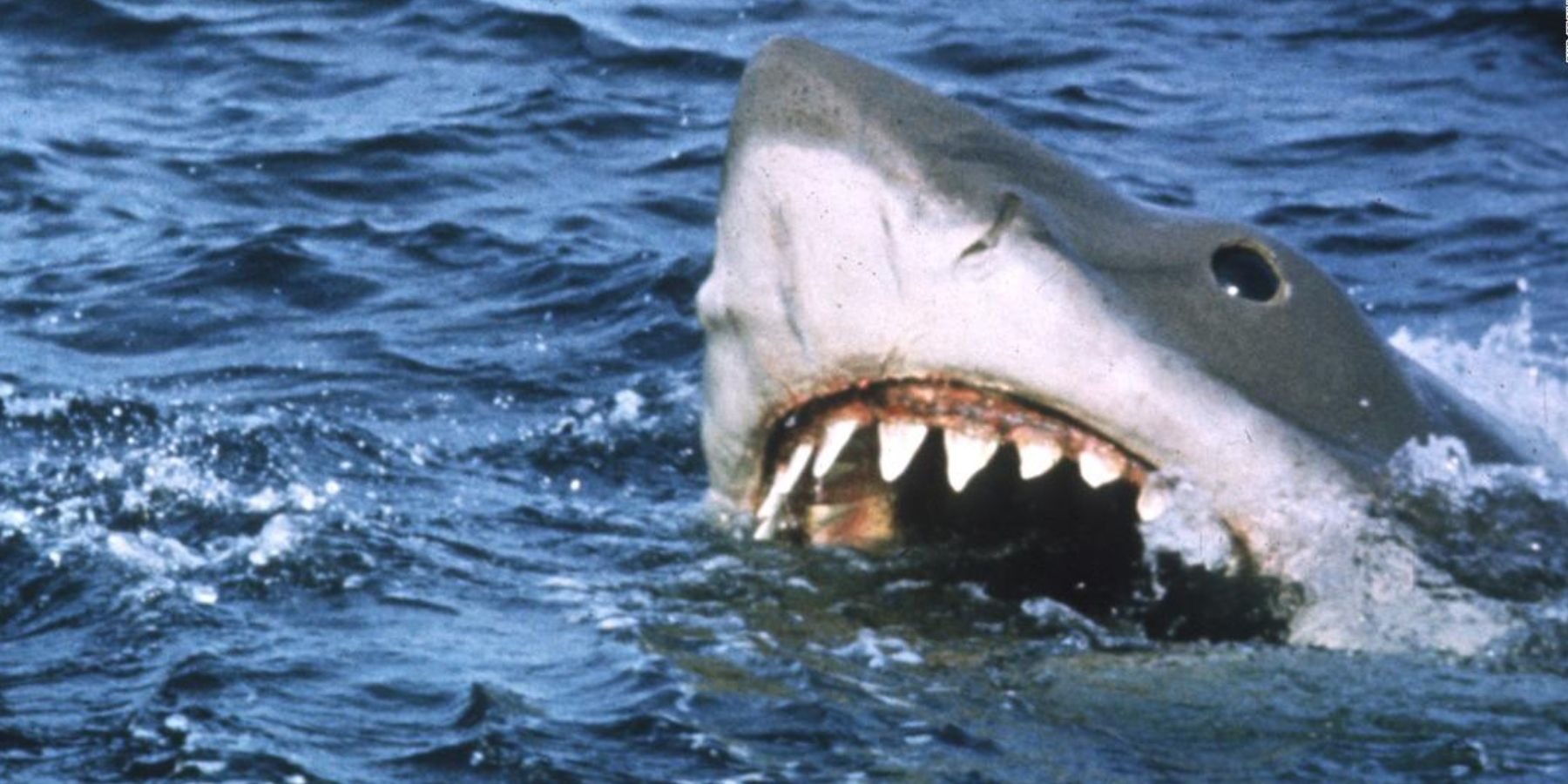 jaws-5672354