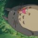 neighbor_totoro_disneyscreencapscom_4017