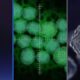 outb-t-virus-syphon-filter-green-poison