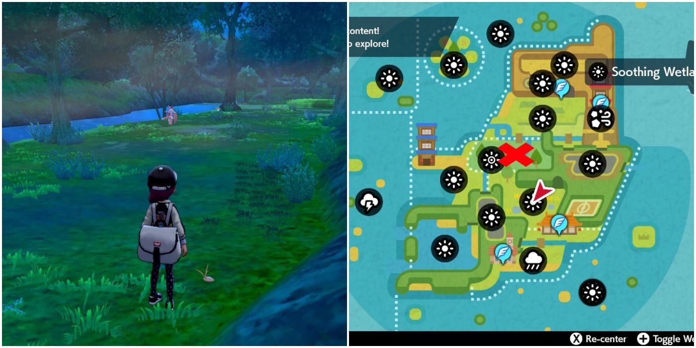 pokemon-isle-of-armor-forest-of-focus-4967759