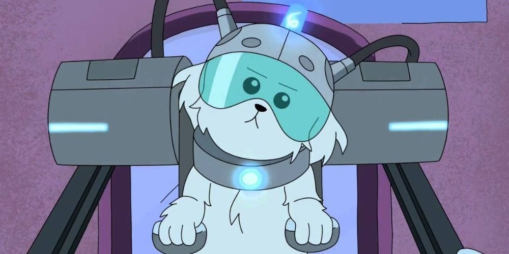 snowball-rick-and-morty-quotes-1-2245141