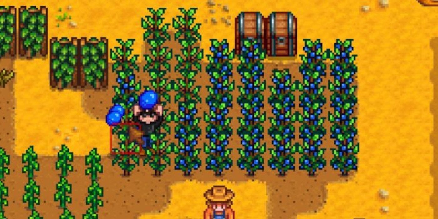 stardew-valley-best-fall-plants-farm-berries-6088591