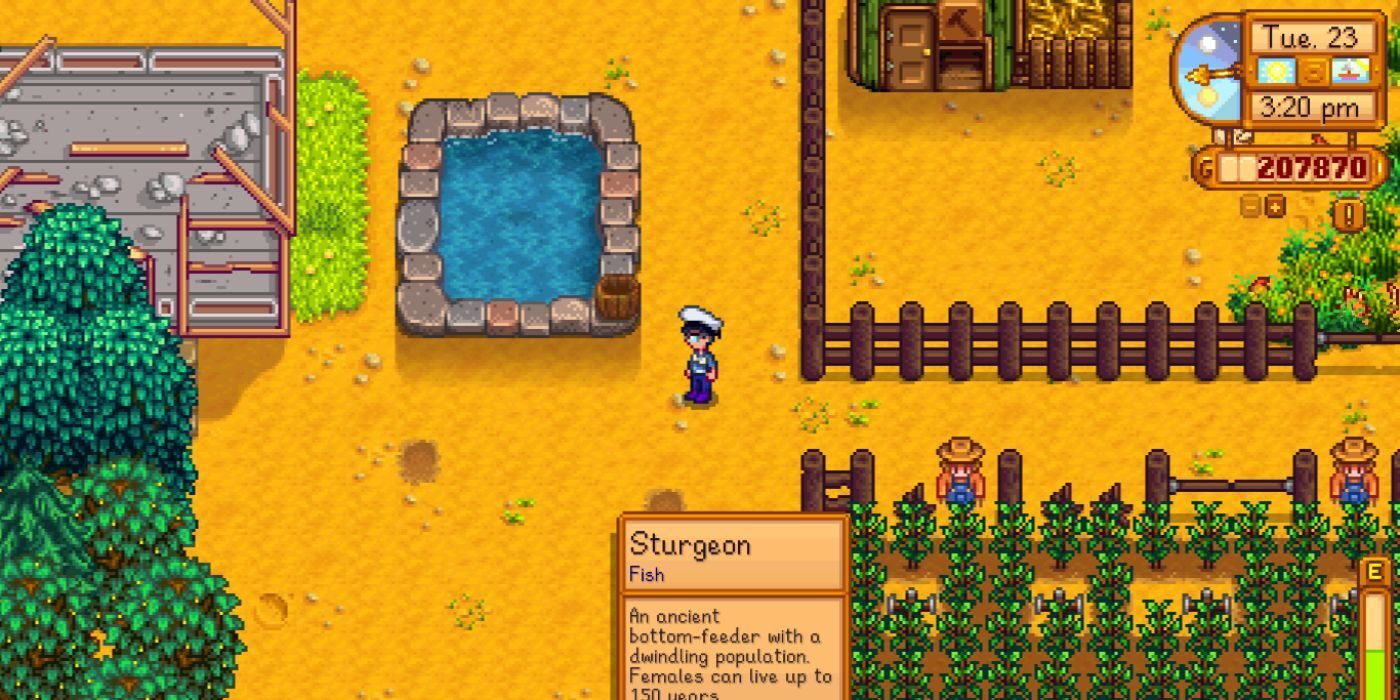 stardew-valley-fish-pond-at-farm-6129186