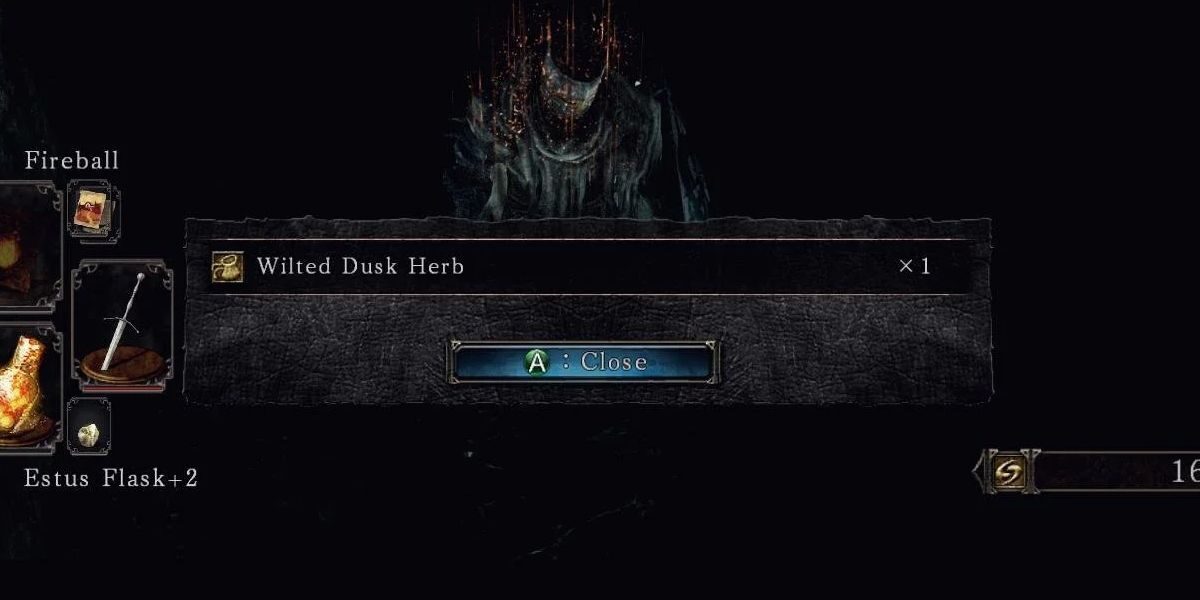 wilted-dusk-herb-5210672